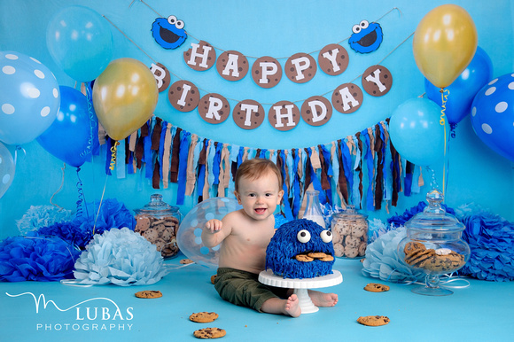 monster set! bring some cookies! the blue monster is a cake that mom ordered .